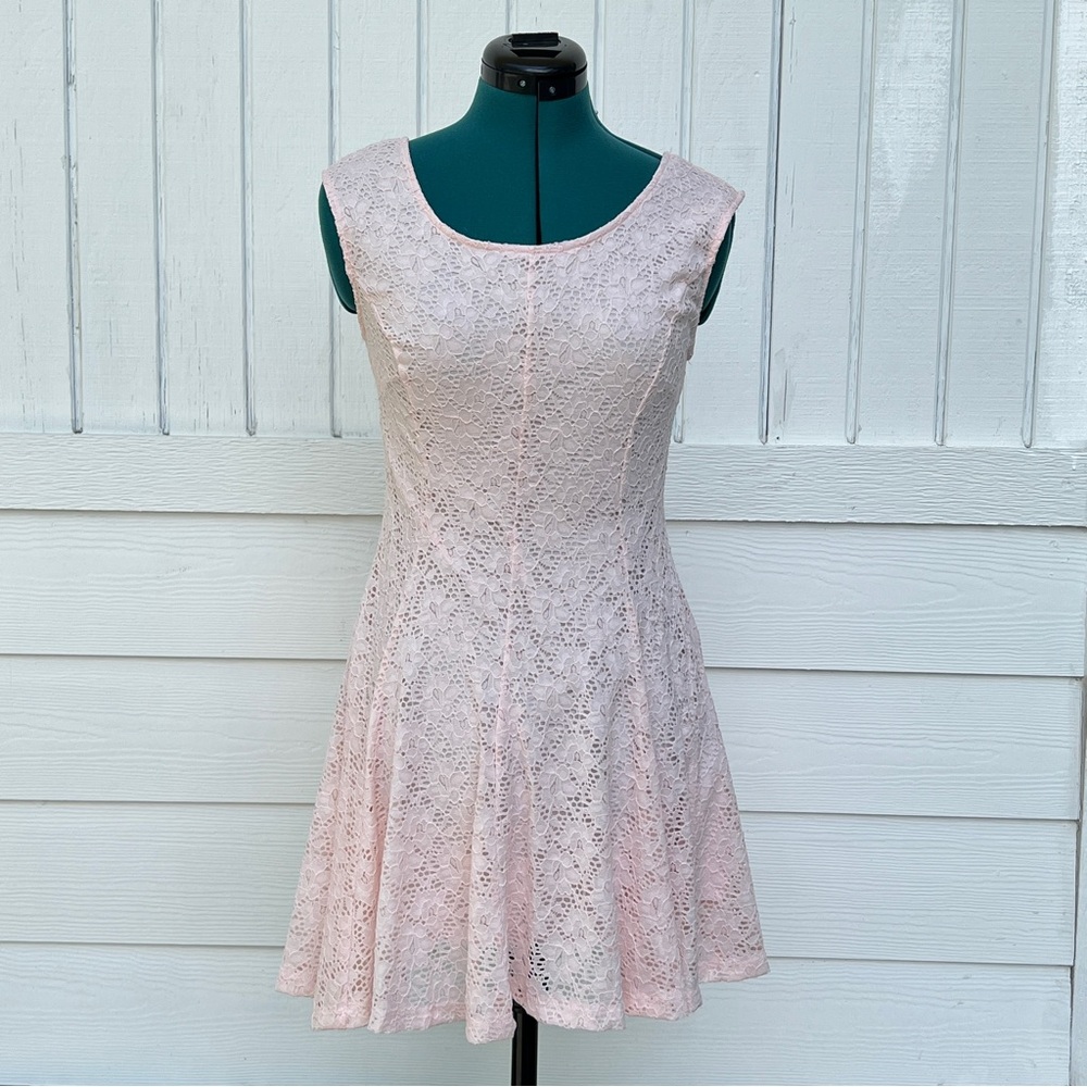 NWT! Streetwear Society: Elegant Mini Pink Lace Dress. Size Small.